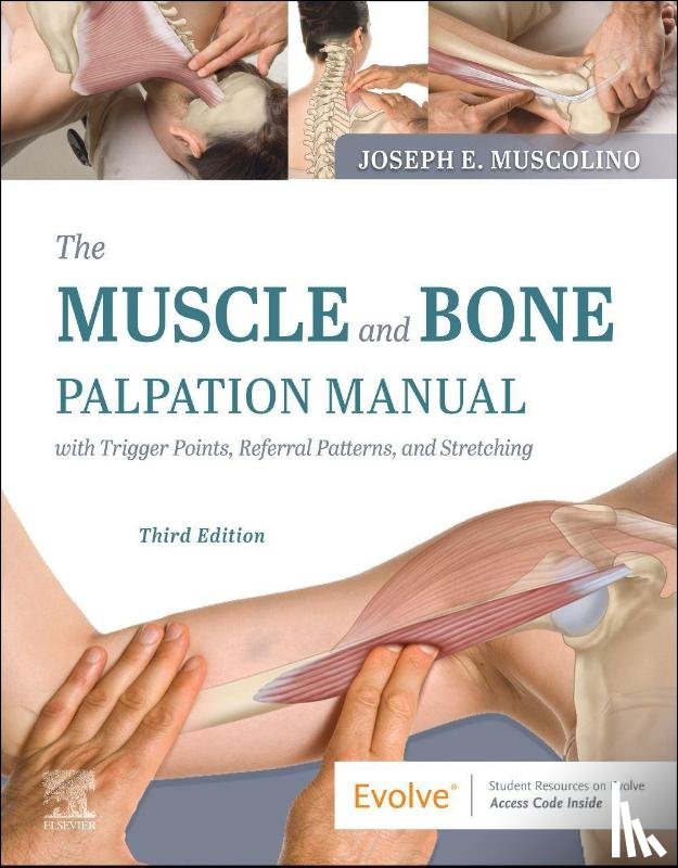 Muscolino, Joseph E. (Instructor - The Muscle and Bone Palpation Manual with Trigger Points, Referral Patterns and Stretching