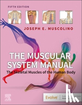 Muscolino, Joseph E. (Instructor - The Muscular System Manual