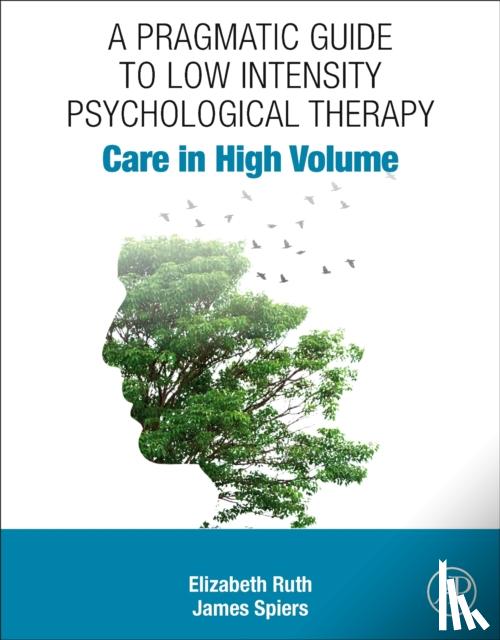 Ruth, Elizabeth (Formerly Psychological Wellbeing Practitioner, IAPT), Spiers, James (Psychological Wellbeing Practitioner, IAPT services, Low Intensity Therapist and Clinical Supervisor) - A Pragmatic Guide to Low Intensity Psychological Therapy
