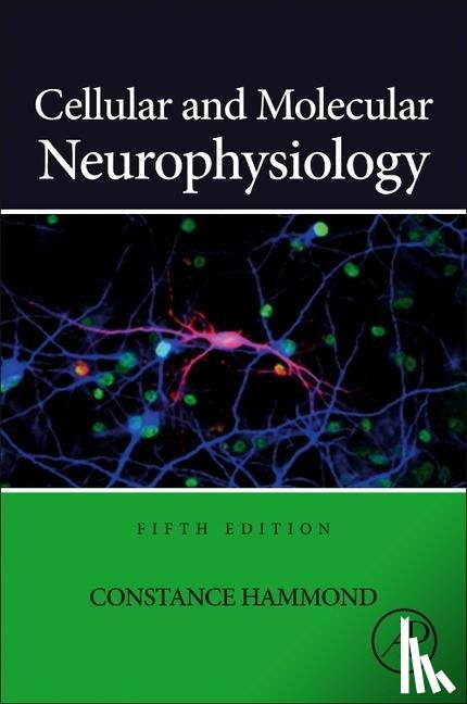 Hammond, Constance (Director of Research INSERM U901 - Cellular and Molecular Neurophysiology