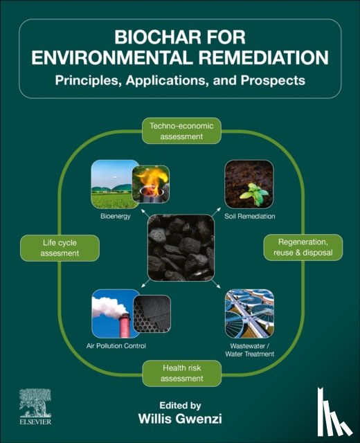  - Biochar for Environmental Remediation