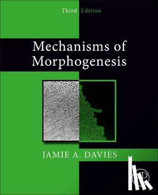Davies, Jamie A. (University of Edinburgh - Mechanisms of Morphogenesis