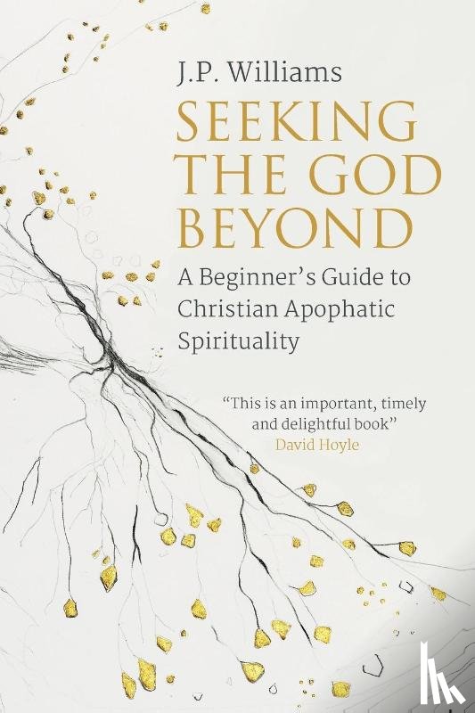 Williams, J.P. - Seeking the God Beyond