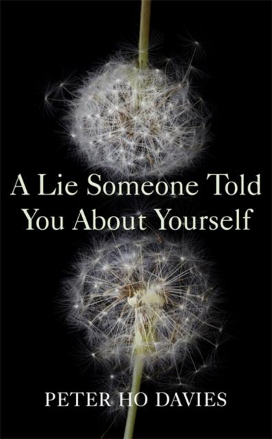 Davies, Peter Ho - A Lie Someone Told You About Yourself