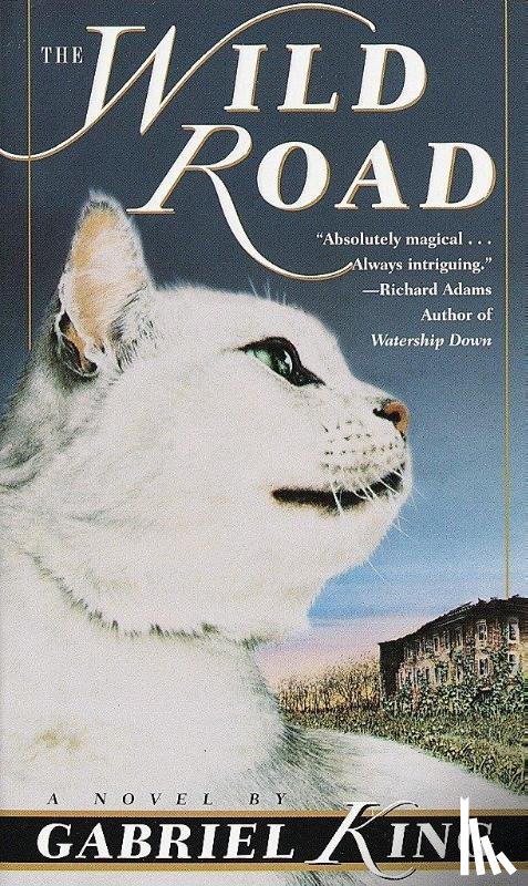 King, Gabriel - The Wild Road