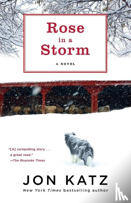 Katz, Jon - Rose in a Storm