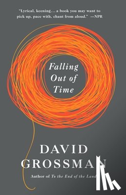David Grossman - Falling Out of Time