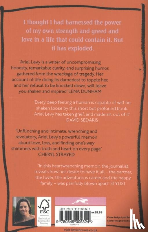Levy, Ariel - The Rules Do Not Apply