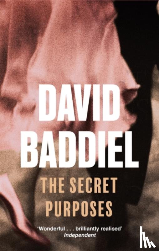 Baddiel, David - The Secret Purposes