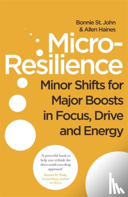 St. John, Bonnie, Haines, Allen P. - Micro-Resilience