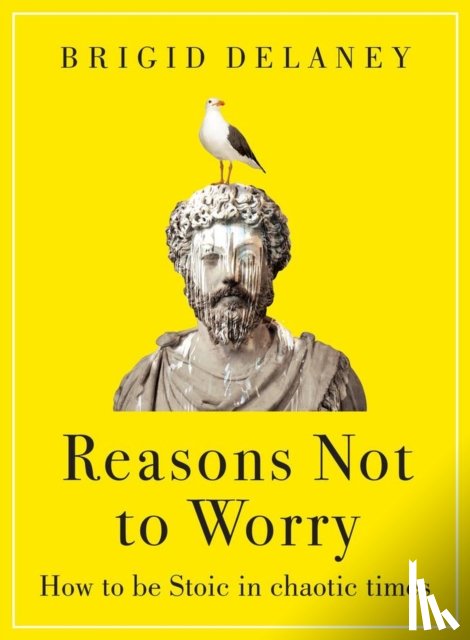Delaney, Brigid - Reasons Not to Worry