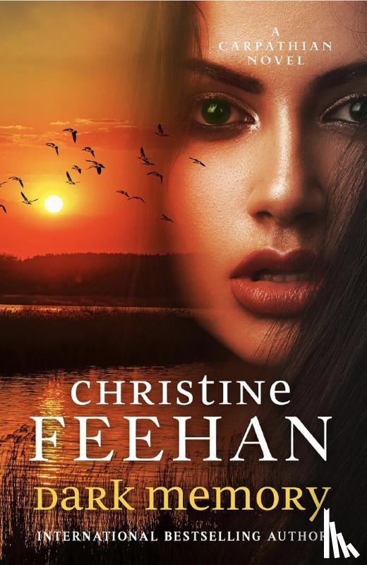 Feehan, Christine - Dark Memory