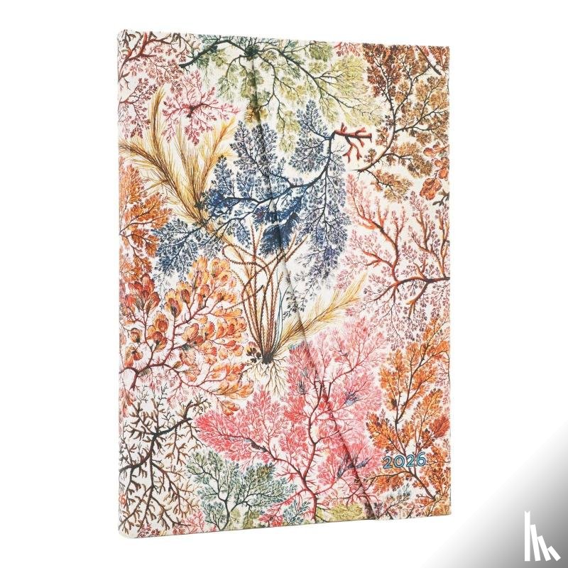 Paperblanks - 2026 Anemone (William Kilburn) Midi 12-month Verso Hardcover Flexi Dayplanner 2026 (Wrap Closure)