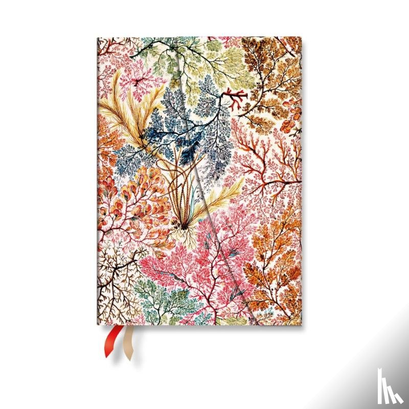 Paperblanks - 2027 Anemone MIDI Vertical Hardcover 12-Month Weekly Planner