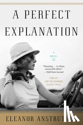 Anstruther, Eleanor - A Perfect Explanation