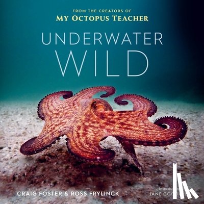 Foster, Craig, Frylinck, Ross - Underwater Wild