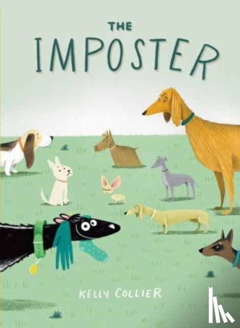 Collier, Kelly - The Imposter