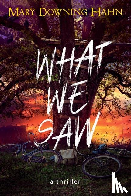 Hahn, Mary Downing - What We Saw
