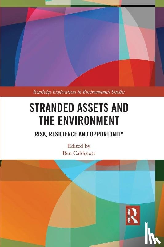  - Stranded Assets and the Environment