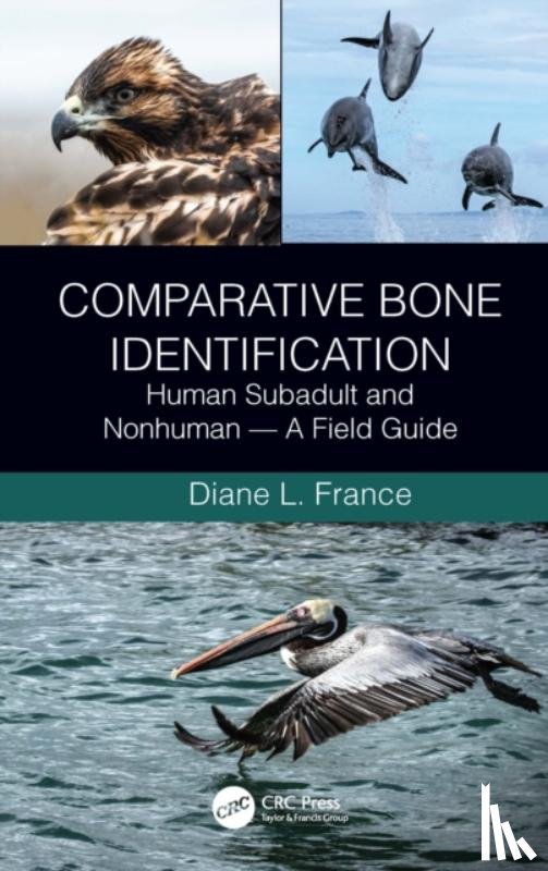 France, Diane L. - Comparative Bone Identification