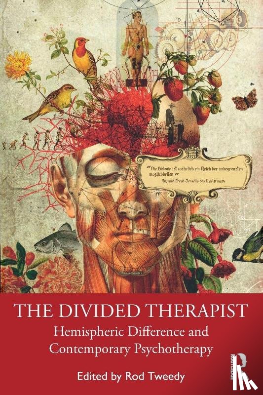  - The Divided Therapist