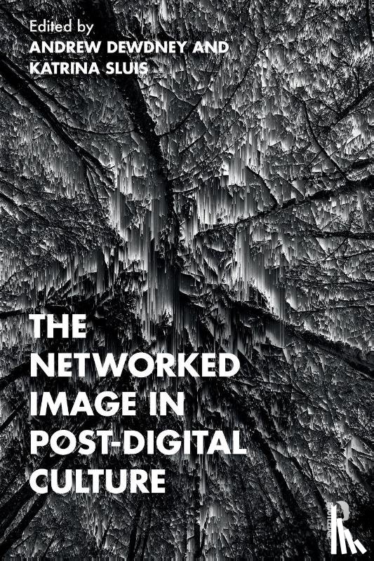  - The Networked Image in Post-Digital Culture