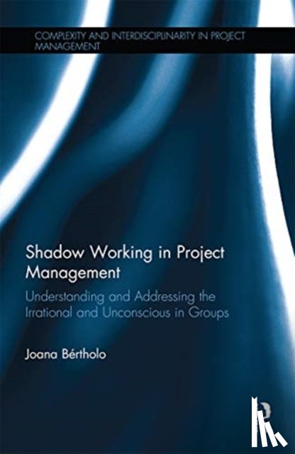 Bertholo, Joana - Shadow Working in Project Management