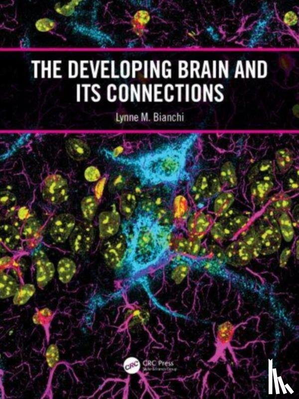 Bianchi, Lynne M. - The Developing Brain and its Connections