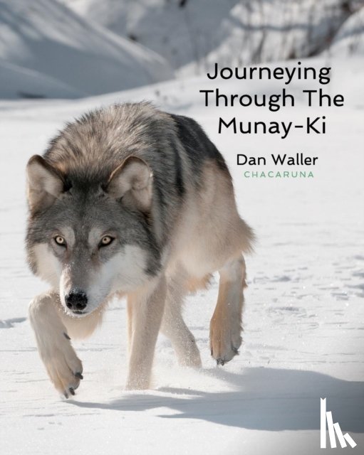 Waller, Dan - Journeying Through The Munay-Ki