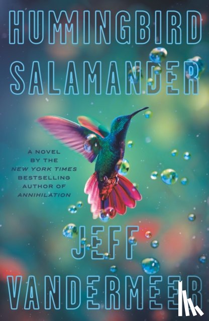Vandermeer, Jeff - Hummingbird Salamander