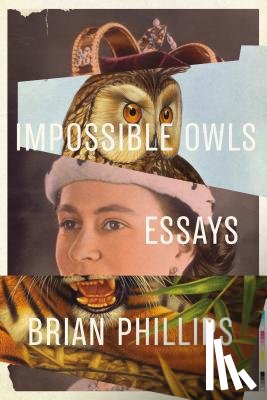 Phillips, Brian - Impossible Owls