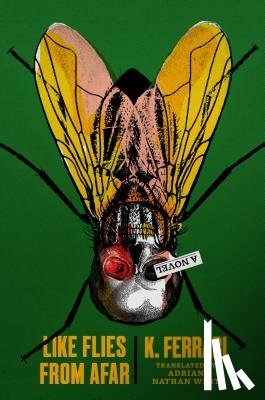 Ferrari, K. - Like Flies from Afar
