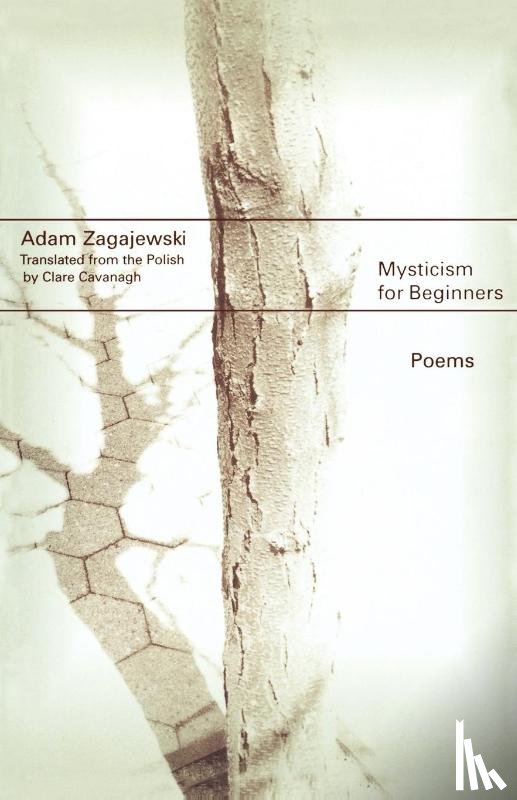 Zagajewski, Adam - Mysticism for Beginners