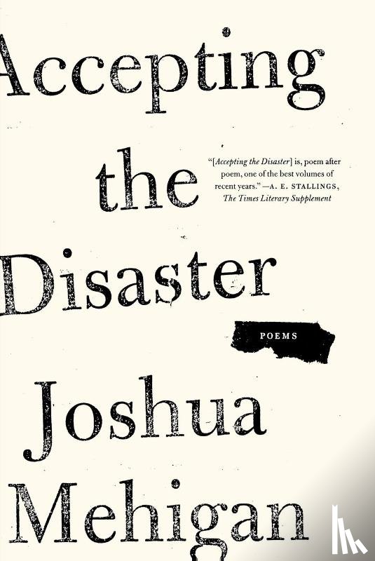 Mehigan, Joshua - Accepting the Disaster