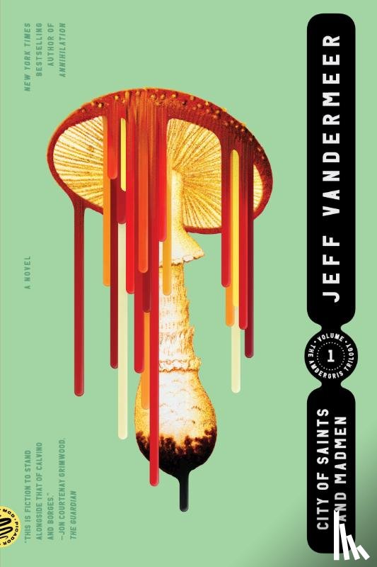Vandermeer, Jeff - City of Saints and Madmen