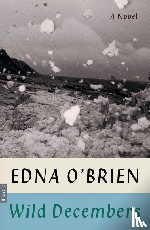 O'Brien, Edna - Wild Decembers