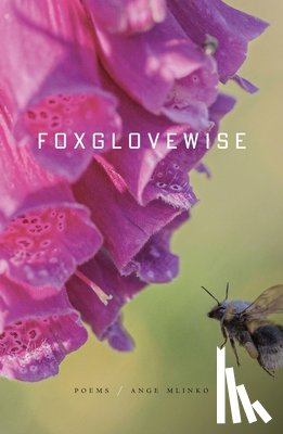 Mlinko, Ange - Foxglovewise: Poems