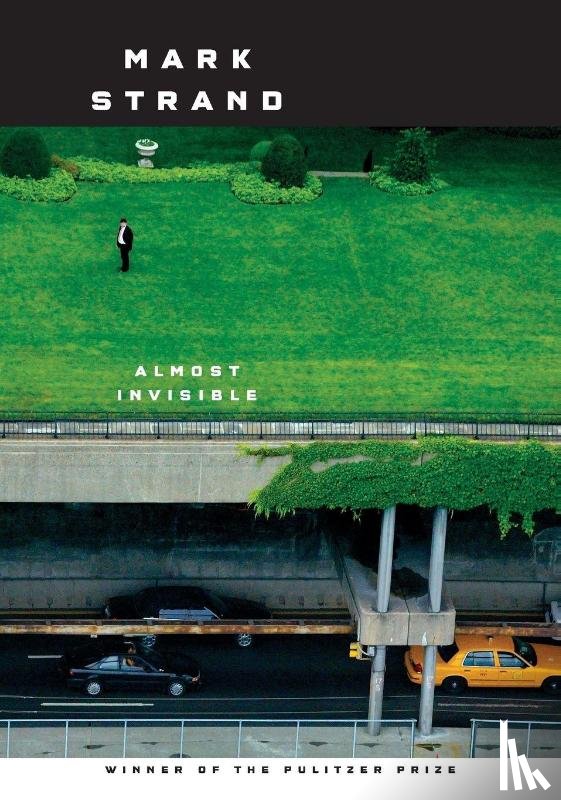 Strand, Mark - Almost Invisible