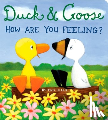 Hills, Tad - Duck & Goose, How Are You Feeling?