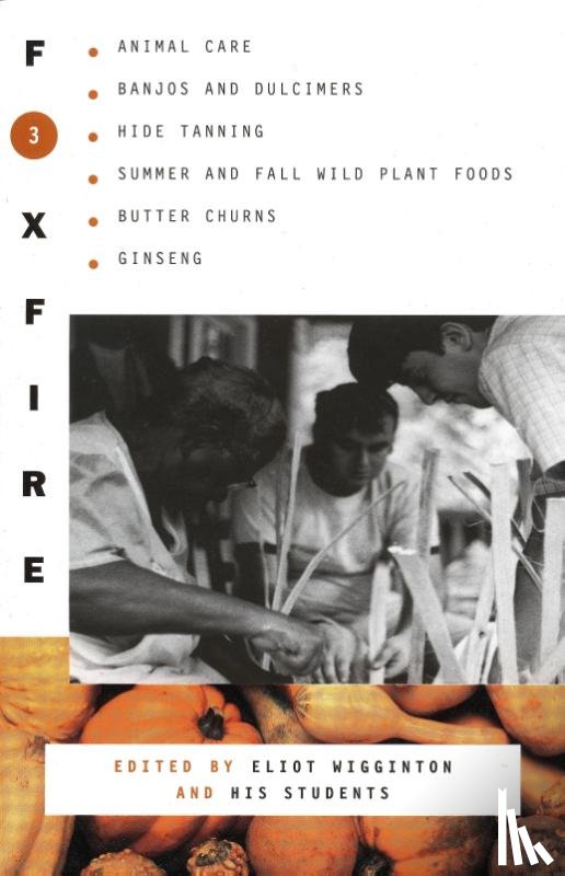 Foxfire Fund Inc - Foxfire Fund Inc: Foxfire 3