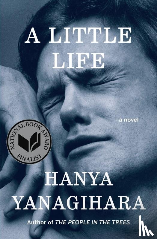 Hanya Yanagihara - A Little Life