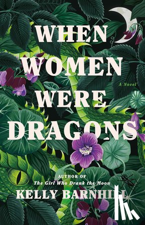 Barnhill, Kelly - When Women Were Dragons