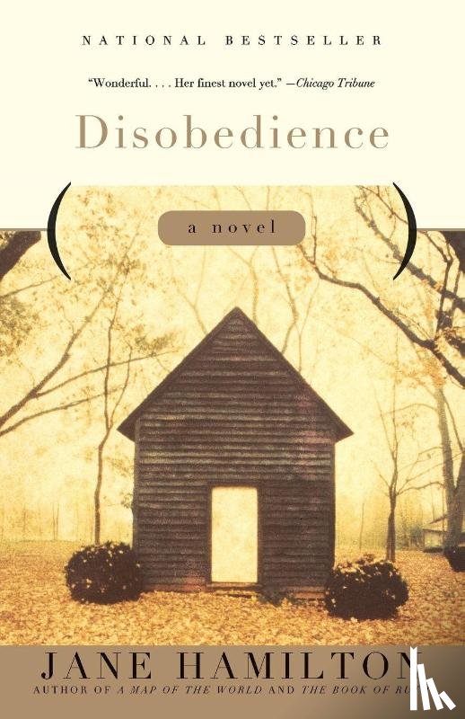 Hamilton, Jane - Disobedience