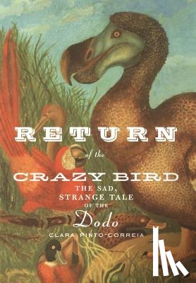 Pinto-Correia, Clara - Return of the Crazy Bird