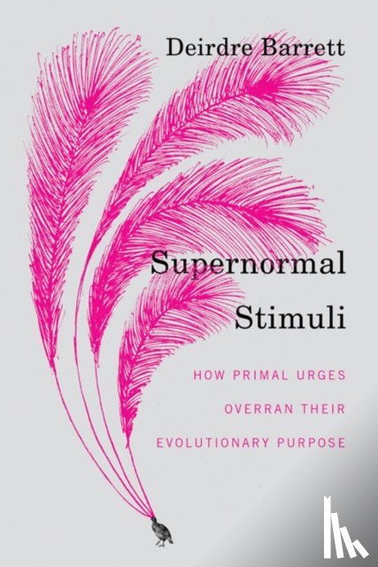 Barrett, Deirdre - Supernormal Stimuli