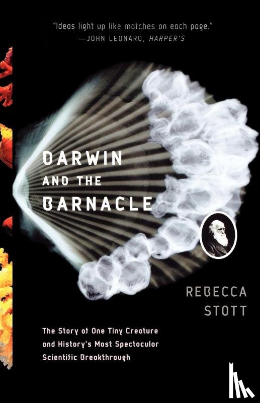 Stott, Rebecca - Darwin and the Barnacle