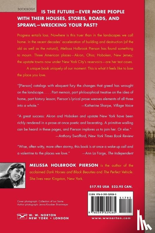 Pierson, Melissa Holbrook - The Place You Love Is Gone