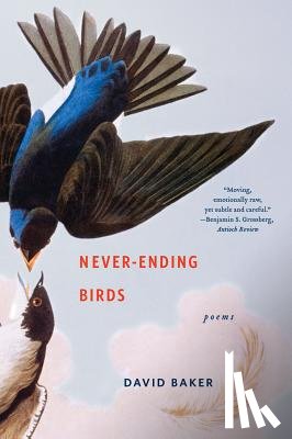 Baker, David (Denison University) - Never-Ending Birds