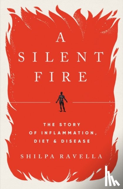 Ravella, Shilpa - A SILENT FIRE 8211 THE STORY OF INFL