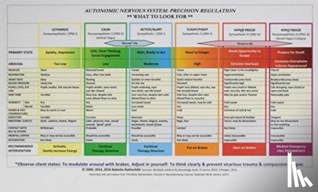 Rothschild, Babette - Autonomic Nervous System Table: Laminated Card